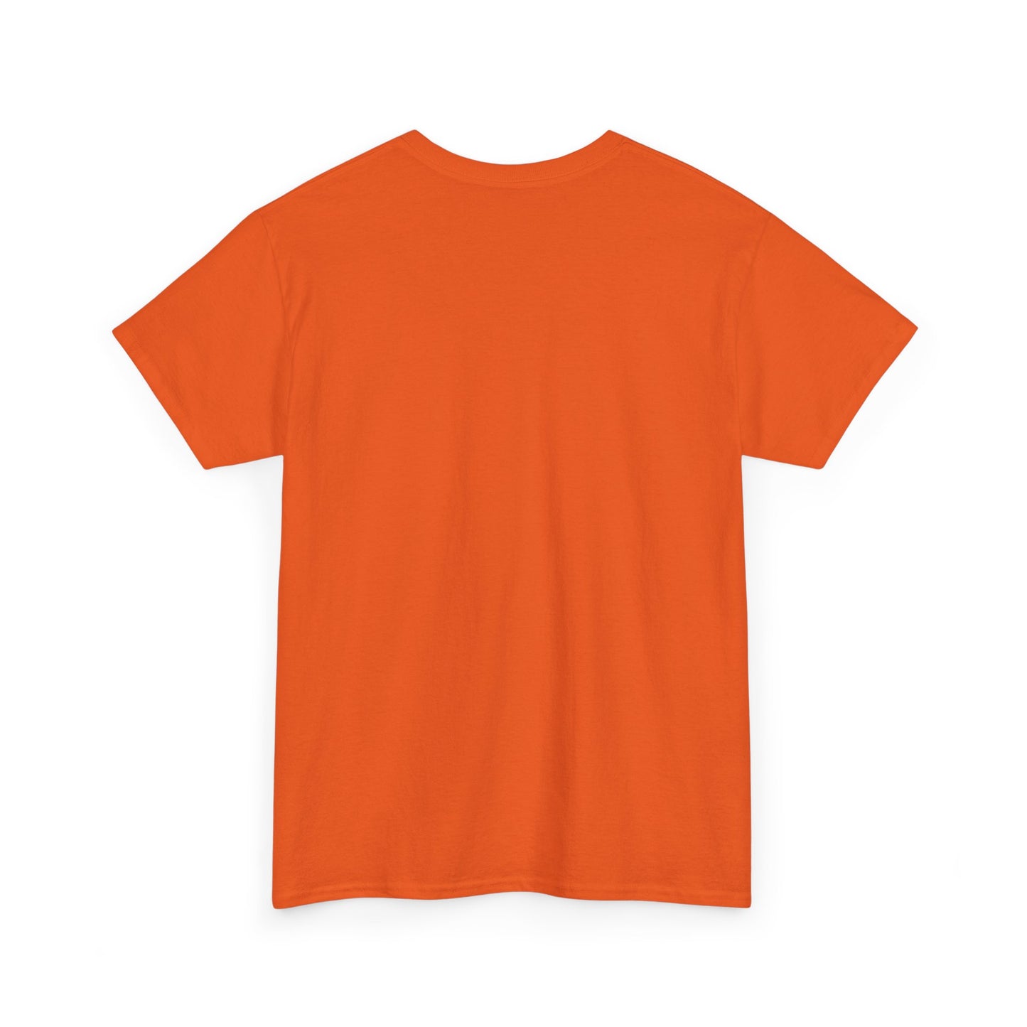 Safety T