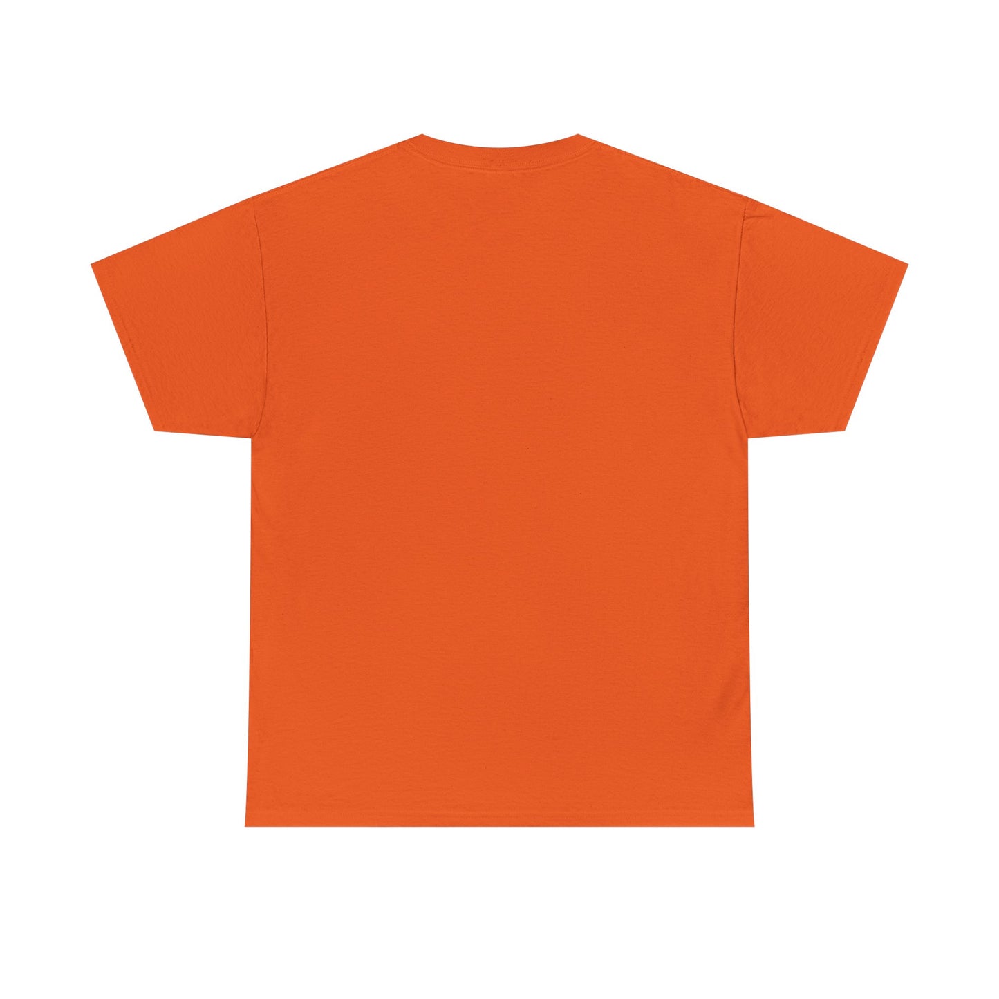 Safety T