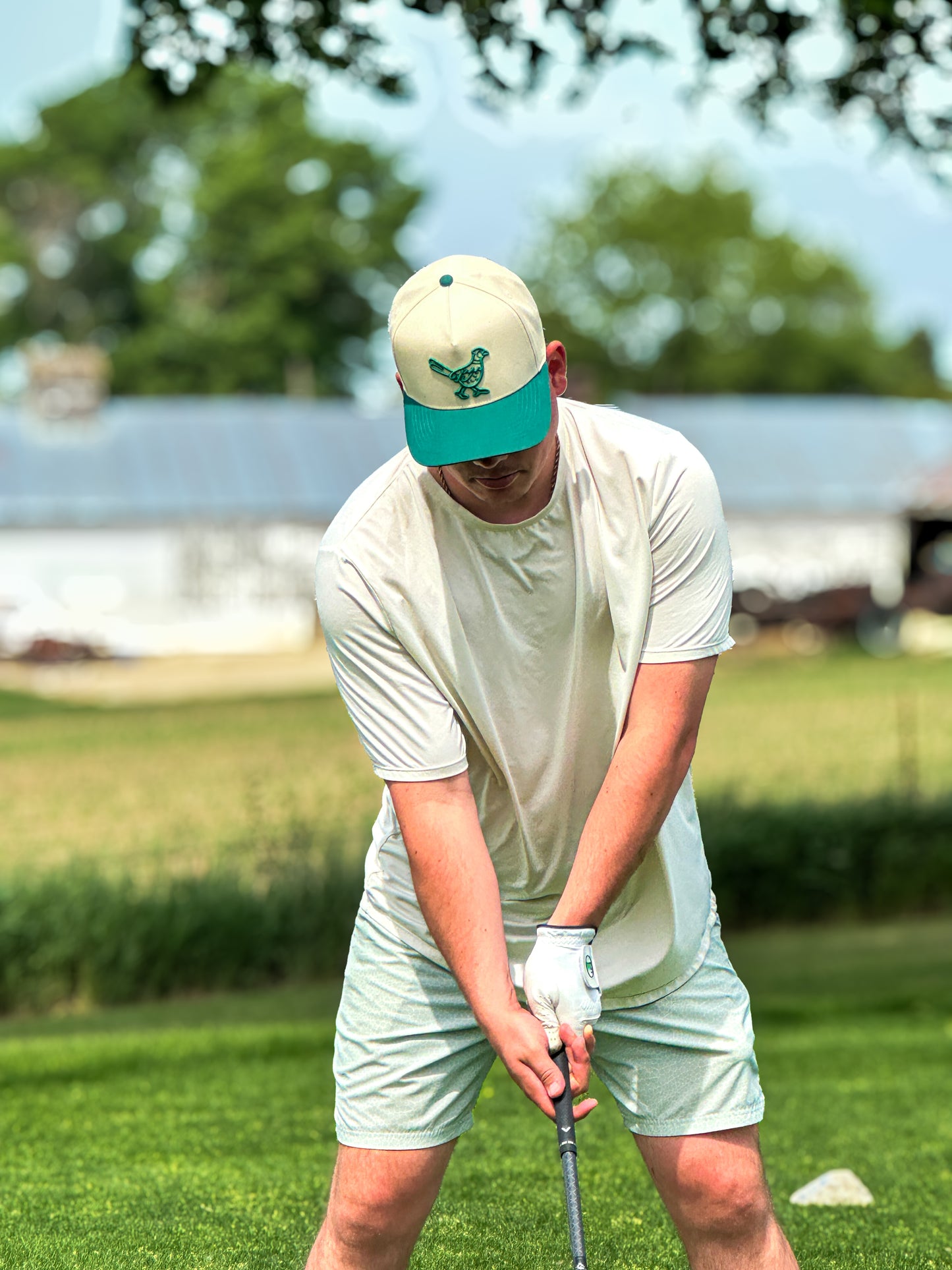 Logo Hat Tan/Green